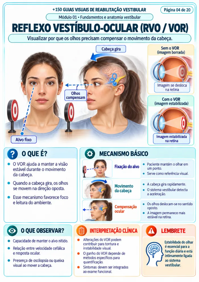 Exemplo de guia visual 2
