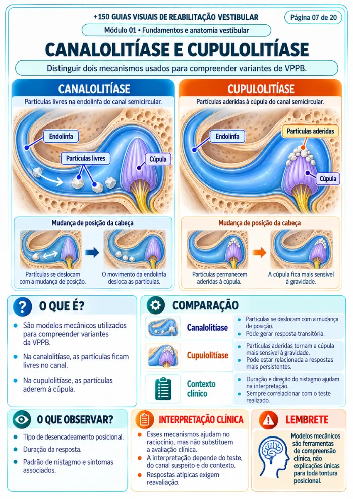 Exemplo de guia visual 4